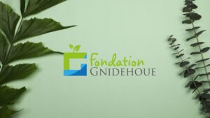 Fondation Gnidehoue