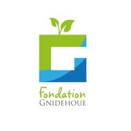 Fondation Gnidehoue